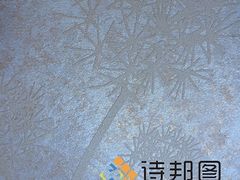 中國(guó)新型環(huán)保建材--買(mǎi)優(yōu)惠的綠色建材,就來(lái)詩(shī)邦圖-詩(shī)邦圖(中國(guó))品牌運(yùn)營(yíng)總部提供中國(guó)新型環(huán)保建材--買(mǎi)優(yōu)惠的綠色建材,就來(lái)詩(shī)邦圖的相關(guān)介紹、產(chǎn)品、服務(wù)、圖片、價(jià)格肌理漆、肌理壁膜、福建肌理漆、肌理壁膜漆代理、硅藻泥廠家、肌理液體壁紙、